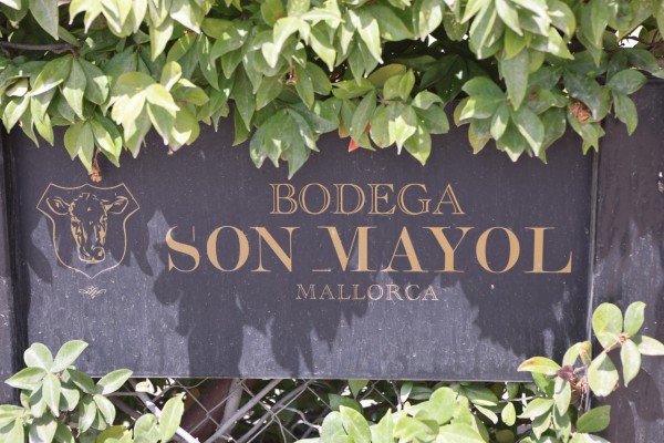 Bodega_Son_Mayol